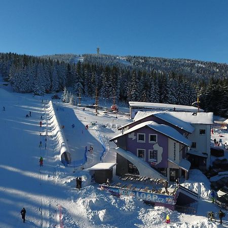 Pension Max Klinovec Loučná pod Klínovcem エクステリア 写真